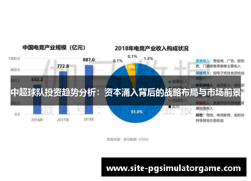 中超球队投资趋势分析：资本涌入背后的战略布局与市场前景