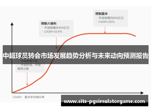 中超球员转会市场发展趋势分析与未来动向预测报告