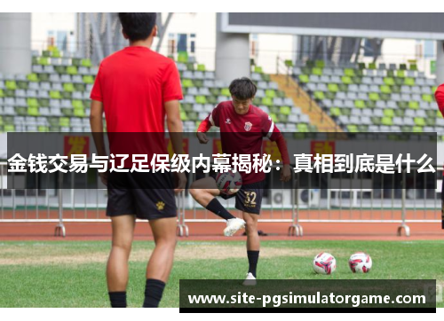 金钱交易与辽足保级内幕揭秘：真相到底是什么