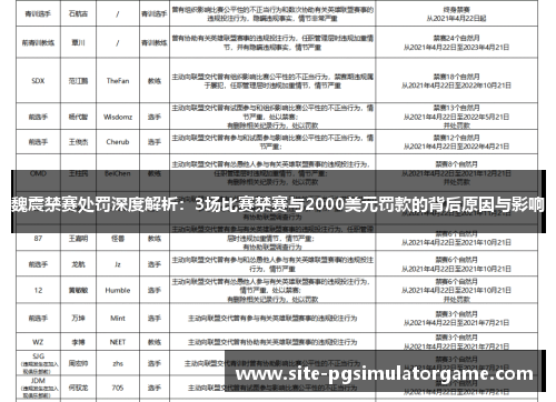 魏震禁赛处罚深度解析：3场比赛禁赛与2000美元罚款的背后原因与影响
