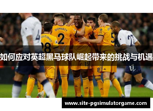 如何应对英超黑马球队崛起带来的挑战与机遇