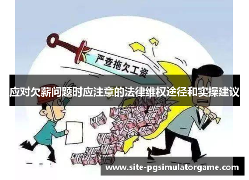 应对欠薪问题时应注意的法律维权途径和实操建议