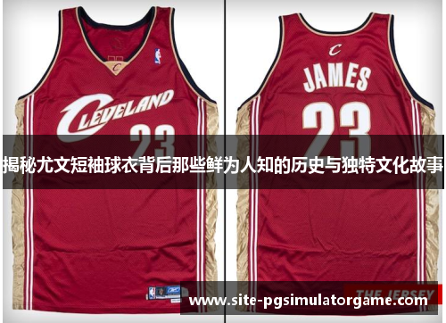 揭秘尤文短袖球衣背后那些鲜为人知的历史与独特文化故事