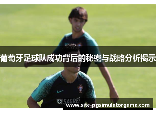 葡萄牙足球队成功背后的秘密与战略分析揭示
