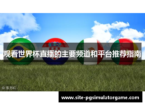 观看世界杯直播的主要频道和平台推荐指南