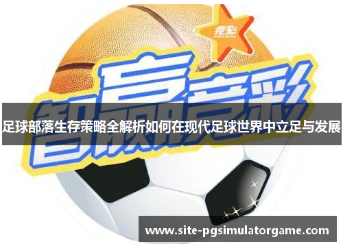 足球部落生存策略全解析如何在现代足球世界中立足与发展