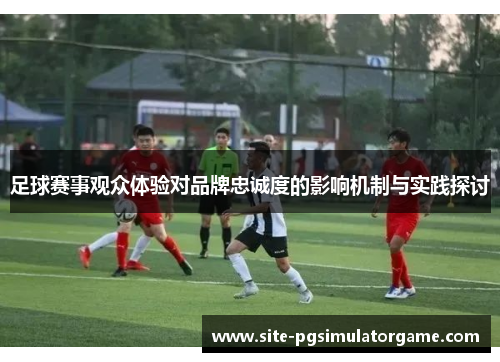 足球赛事观众体验对品牌忠诚度的影响机制与实践探讨 足球赛事观众体验对品牌忠诚度的影响机制与实践探讨