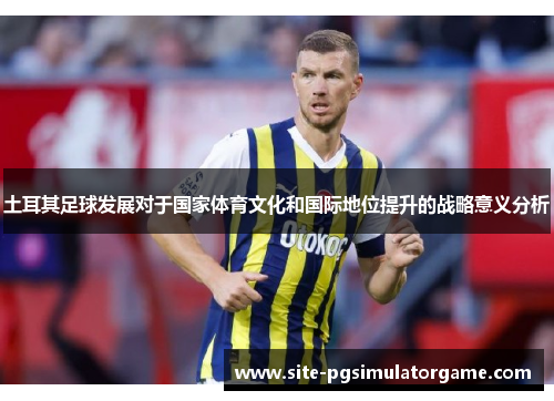 土耳其足球发展对于国家体育文化和国际地位提升的战略意义分析 土耳其足球发展对于国家体育文化和国际地位提升的战略意义分析