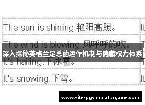 深入探秘英格兰足总的运作机制与隐藏权力体系