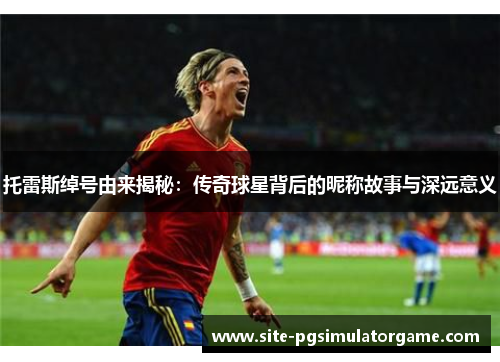 托雷斯绰号由来揭秘:传奇球星背后的昵称故事与深远意义 托雷斯绰号由来揭秘:传奇球星背后的昵称故事与深远意义