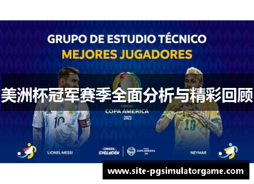 美洲杯冠军赛季全面分析与精彩回顾 美洲杯冠军赛季全面分析与精彩回顾